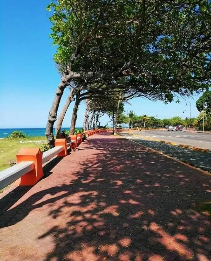 Tropical Estudio En El Centro De La Ciudad بويرتو بلاتا منزل للإقامة